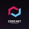 CSGO.NET Full Review