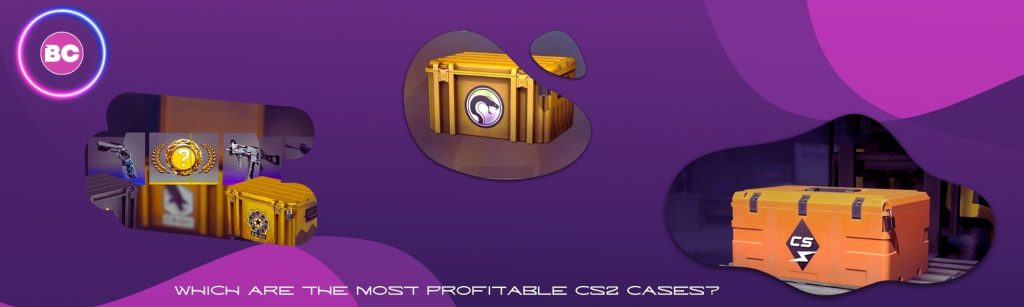 Which are the Most Profitable CS2 Cases?