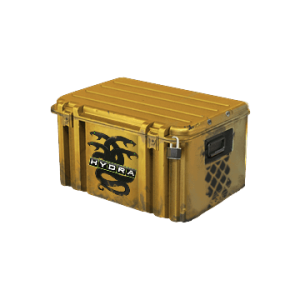 Operation Hydra Case