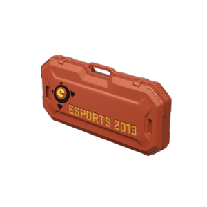 eSports 2013 Case